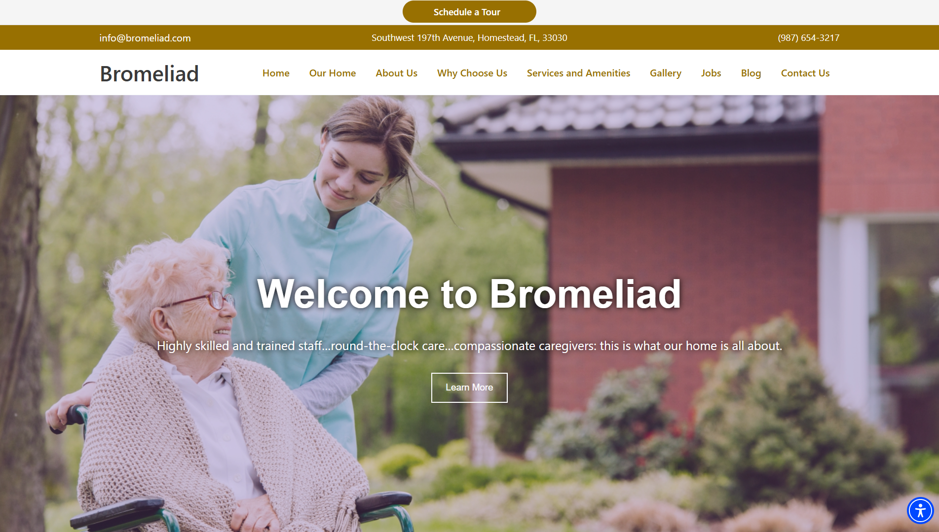 Bromeliad